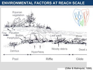 ENVIRONMENTAL FACTORS AT REACH SCALE (Giller & Malmqvist, 1998) 