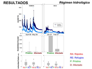 RESULTADOS Régimen hidrológico RA: Rápidos RE: Refugios P: Prístino D: Afectado 