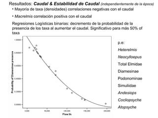Mayoría de taxa (densidades) correlaciones negativas con el caudal Macrelmis  correlación positiva con el caudal Regresiones Logísticas binarias: decremento de la probabilidad de la presencia de los taxa al aumentar el caudal. Significativo para más 50% of taxa Resultados:  Caudal & Estabilidad de Caudal  (independientemente de la época) p.e: Heterelmis Neocylloepus Total Elmidae Diamesinae Podonominae Simuliidae Andesiops Cocliopsyche Atopsyche 