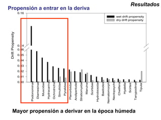 Propensión a entrar en la deriva Mayor propensión a derivar en la época húmeda Resultados 