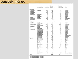 ECOLOGÍA TRÓFICA 