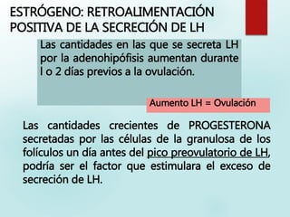 ESTRÓGENO: RETROALIMENTACIÓN
POSITIVA DE LA SECRECIÓN DE LH
Las cantidades crecientes de PROGESTERONA
secretadas por las células de la granulosa de los
folículos un día antes del pico preovulatorio de LH,
podría ser el factor que estimulara el exceso de
secreción de LH.
Las cantidades en las que se secreta LH
por la adenohipófisis aumentan durante
l o 2 días previos a la ovulación.
Aumento LH = Ovulación
 