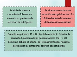 Se inicia de nuevo el
crecimiento folicular y el
aumento progresivo de la
secreción de estrógenos
Se alcanza un máximo de
secreción estrogénica a los 12 o
13 días después del comienzo
del nuevo ciclo menstrual.
Durante los primeros 11 a 12 días del crecimiento folicular, la
secreción hipofisaria de las gonadotropinas FSH y LH
disminuye debido al efecto de retroalimentación negativa,
ejercido por los estrógenos sobre la adenohipófisis.
 