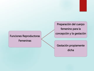 Funciones Reproductoras
Femeninas
Preparación del cuerpo
femenino para la
concepción y la gestación
Gestación propiamente
dicha
 