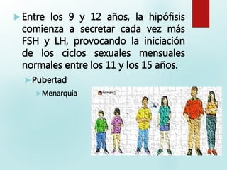  Entre los 9 y 12 años, la hipófisis
comienza a secretar cada vez más
FSH y LH, provocando la iniciación
de los ciclos sexuales mensuales
normales entre los 11 y los 15 años.
Pubertad
Menarquia
 