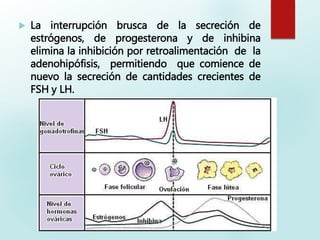  La interrupción brusca de la secreción de
estrógenos, de progesterona y de inhibina
elimina la inhibición por retroalimentación de la
adenohipófisis, permitiendo que comience de
nuevo la secreción de cantidades crecientes de
FSH y LH.
 