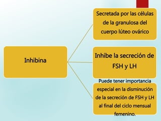 Inhibina
Inhibe la secreción de
FSH y LH
Secretada por las células
de la granulosa del
cuerpo lúteo ovárico
Puede tener importancia
especial en la disminución
de la secreción de FSH y LH
al final del ciclo mensual
femenino.
 