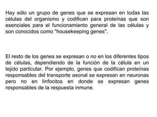 Hay sólo un grupo de genes que se expresan en todas las
células del organismo y codifican para proteínas que son
esenciales para el funcionamiento general de las células y
son conocidos como "housekeeping genes".
El resto de los genes se expresan o no en los diferentes tipos
de células, dependiendo de la función de la célula en un
tejido particular. Por ejemplo, genes que codifican proteínas
responsables del transporte axonal se expresan en neuronas
pero no en linfocitos en donde se expresan genes
responsables de la respuesta inmune.
 