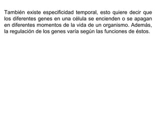 También existe especificidad temporal, esto quiere decir que
los diferentes genes en una célula se encienden o se apagan
en diferentes momentos de la vida de un organismo. Además,
la regulación de los genes varía según las funciones de éstos.
 