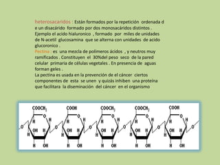 heterosacaridos : Están formados por la repetición  ordenada d e un disacárido  formado por dos monosacáridos distintos . Ejemplo el acido hialuronico  , formado  por  miles de unidades  de N-acetil  glucosamina  que se alterna con unidades  de acido glucoronico .Pectina : es  una mezcla de polímeros ácidos  , y neutros muy ramificados . Constituyen  el  30%del peso  seco  de la pared celular  primaria de células vegetales . En presencia de  aguas forman geles .La pectina es usada en la prevención de el cáncer  ciertos componentes de  esta  se unen  y quizás inhiben  una proteína que facilitara  la diseminación  del cáncer  en el organismo