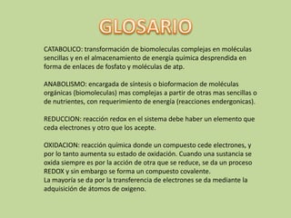 GLOSARIOCATABOLICO: transformación de biomoleculas complejas en moléculas sencillas y en el almacenamiento de energía química desprendida en forma de enlaces de fosfato y moléculas de atp. ANABOLISMO: encargada de síntesis o bioformacion de moléculas orgánicas (biomoleculas) mas complejas a partir de otras mas sencillas o de nutrientes, con requerimiento de energía (reacciones endergonicas).REDUCCION: reacción redox en el sistema debe haber un elemento que ceda electrones y otro que los acepte.OXIDACION: reacción química donde un compuesto cede electrones, y por lo tanto aumenta su estado de oxidación. Cuando una sustancia se oxida siempre es por la acción de otra que se reduce, se da un proceso REDOX y sin embargo se forma un compuesto covalente. La mayoría se da por la transferencia de electrones se da mediante la adquisición de átomos de oxigeno.