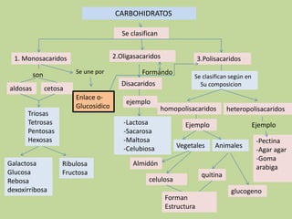 CARBOHIDRATOS   Se clasifican2.Oligasacaridos1. Monosacaridos3.PolisacaridosSe une porFormando sonSe clasifican según en     Su composicionDisacaridosaldosascetosaEnlace o-Glucosidicoejemplohomopolisacaridos heteropolisacaridosTriosas TetrosasPentosas Hexosas     -Lactosa    -Sacarosa    -Maltosa    -CelubiosaEjemplo Ejemplo -Pectina-Agar agar-Goma       arabigaVegetales Animales Galactosa Glucosa RebosadexoxirribosaAlmidón Ribulosa Fructosaquitinacelulosa glucogenoForman Estructura
