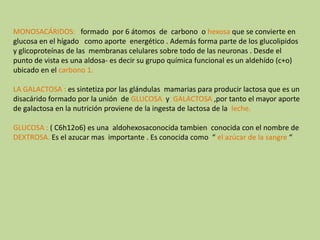 MONOSACÁRIDOS:   formado  por 6 átomos  de  carbono  o hexosa que se convierte en glucosa en el hígado   como aporte  energético . Además forma parte de los glucolipidos y glicoproteínas de las  membranas celulares sobre todo de las neuronas . Desde el punto de vista es una aldosa- es decir su grupo química funcional es un aldehído (c+o) ubicado en el carbono 1.LA GALACTOSA : es sintetiza por las glándulas  mamarias para producir lactosa que es un disacárido formado por la unión  de GLUCOSA  y  GALACTOSA ,por tanto el mayor aporte de galactosa en la nutrición proviene de la ingesta de lactosa de la  leche.GLUCOSA : ( C6h12o6) es una  aldohexosaconocidatambien  conocida con el nombre de DEXTROSA. Es el azucar mas  importante . Es conocida como  “ el azúcar de la sangre “
