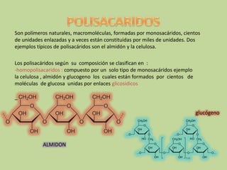 POLISACARIDOSSon polímeros naturales, macromoléculas, formadas por monosacáridos, cientos de unidades enlazadas y a veces están constituidas por miles de unidades. Dos ejemplos típicos de polisacáridos son el almidón y la celulosa.Los polisacáridos según  su  composición se clasifican en  :-homopolisacaridos : compuesto por un  solo tipo de monosacáridos ejemplo la celulosa , almidón y glucogeno  los  cuales están formados  por  cientos   de moléculas  de glucosa  unidas por enlaces glicosidicos_glucógenoALMIDON