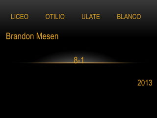 Brandon Mesen
8-1
2013
LICEO OTILIO ULATE BLANCO
 