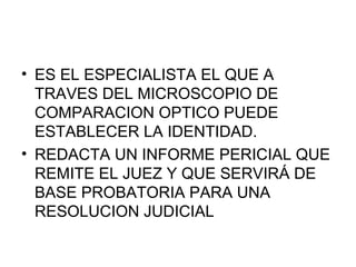 • ES EL ESPECIALISTA EL QUE A
  TRAVES DEL MICROSCOPIO DE
  COMPARACION OPTICO PUEDE
  ESTABLECER LA IDENTIDAD.
• REDACTA UN INFORME PERICIAL QUE
  REMITE EL JUEZ Y QUE SERVIRÁ DE
  BASE PROBATORIA PARA UNA
  RESOLUCION JUDICIAL
 