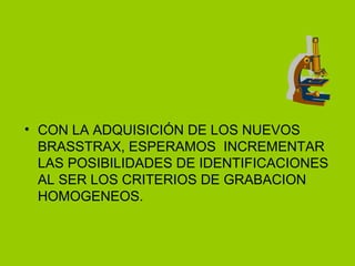 • CON LA ADQUISICIÓN DE LOS NUEVOS
  BRASSTRAX, ESPERAMOS INCREMENTAR
  LAS POSIBILIDADES DE IDENTIFICACIONES
  AL SER LOS CRITERIOS DE GRABACION
  HOMOGENEOS.
 