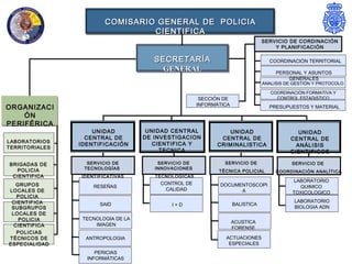 COMISARIO GENERAL DE POLICIA
                                 CIENTIFICA
                                                                                SERVICIO DE CORDINACIÓN
                                                                                    Y PLANIFICACIÓN

                                       SECRETARÍA                                 COORDINACIÓN TERRITORIAL
                                         GENERAL                                     PERSONAL Y ASUNTOS
                                                                                         GENERALES
                                                                                ANALISIS DE GESTIÓN Y PROTOCOLO

                                                                                   COORDINACIÓN FORMATIVA Y
                                                       SECCIÓN DE                    CONTROL ESTADISTICO
                                                      INFORMÁTICA
ORGANIZACI                                                                        PRESUPUESTOS Y MATERIAL
    ÓN
PERIFÉRICA
                    UNIDAD           UNIDAD CENTRAL            UNIDAD                        UNIDAD
                  CENTRAL DE        DE INVESTIGACION         CENTRAL DE                   CENTRAL DE
LABORATORIOS
                IDENTIFICACIÓN         CIENTIFICA Y         CRIMINALISTICA                  ANÁLISIS
TERRITORIALES
                                         TECNICA                                          CIENTIFICOS

BRIGADAS DE       SERVICIO DE           SERVICIO DE            SERVICIO DE                 SERVICIO DE
  POLICIA        TECNOLOGÍAS           INNOVACIONES
                                                             TÉCNICA POLICIAL        COORDINACIÓN ANALÍTICA
 CIENTIFICA     IDENTIFICATIVAS        TECNOLÓGICAS
                                                                                           LABORATORIO
   GRUPOS                               CONTROL DE           DOCUMENTOSCOPI
                    RESEÑAS                                                                  QUIMICO
LOCALES DE                                CALIDAD                  A                       TOXICOLOGICO
   POLICIA
 CIENTIFICA                                                                                 LABORATORIO
                      SAID                  I+D                     BALISTICA
 SUBGRUPOS                                                                                  BIOLOGIA ADN
 LOCALES DE
    POLICIA      TECNOLOGIA DE LA
                                                                    ACUSTICA
  CIENTIFICA         IMAGEN
                                                                    FORENSE
   POLICIAS
TÉCNICOS DE       ANTROPOLOGIA                                 ACTUACIONES
ESPECIALIDAD                                                    ESPECIALES
                     PERICIAS
                  INFORMÁTICAS
 