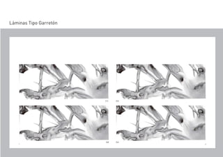 Láminas Tipo Garretón
 