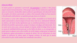 Clases de Aborto 
El aborto puede ser espontáneo o provocado. El espontáneo se produce o bien porque 
surge la muerte intrauterinamente, o bien porque causas diversas motivan la expulsión del 
nuevo ser al exterior, donde fallece dada su falta de capacidad para vivir fuera del vientre 
de su madre. Si el aborto es provocado, se realiza o bien matando al hijo en el seno materno 
o bien forzando artificialmente su expulsión para que muera en el exterior. 
En ocasiones se actúa sobre embarazos de hijos viables, matándolos en el interior de la 
madre o procurando su muerte después de nacer vivos. Esto no es, médicamente hablando, 
un aborto, y de hecho muchas legislaciones que se consideran permisivas en la tolerancia 
del aborto lo prohíben expresamente, porque lo incluyen en la figura del infanticidio. Pero 
no ocurre así en otros casos, como por ejemplo en España, donde el Código Penal no tiene 
en cuenta la viabilidad del feto para que se dé el delito de aborto, y, en contrapartida, se 
puede matar en algunos casos a fetos viables sin recibir ningún castigo penal, al amparo de 
la legislación vigente precisamente en materia de aborto. Por eso utilizaremos en estas 
páginas la definición de aborto según el lenguaje corriente, de modo que la muerte 
provocada de un feto viable también será considerada como aborto. 
 