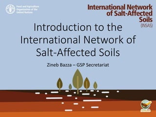 Introduction to the
International Network of
Salt-Affected Soils
Zineb Bazza – GSP Secretariat
 