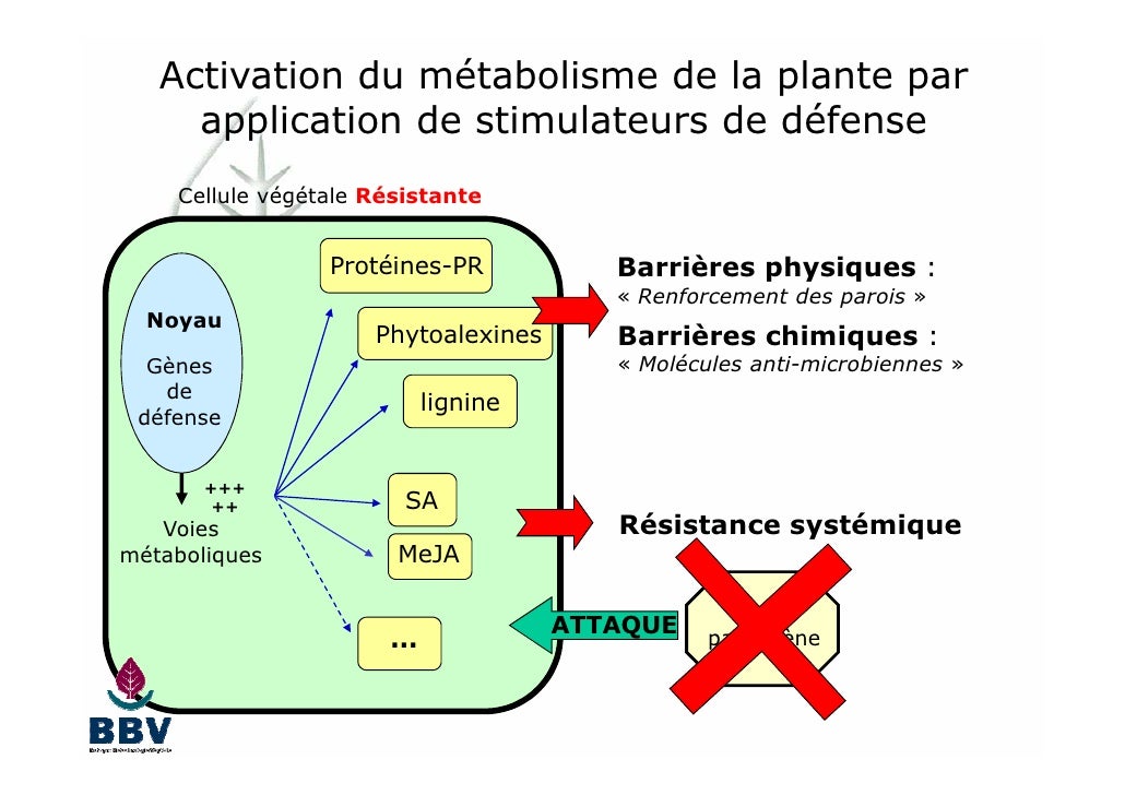 Les stimulateurs de défenses des plantes quelles applications prati…
