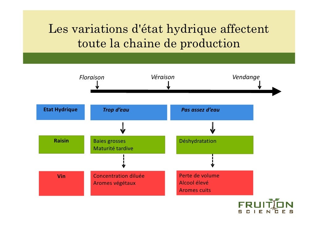 Fruition Sciences une nouvelle façon de caractériser l'état hydriqu…