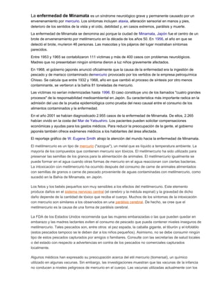 La enfermedad de Minamata es un síndrome neurológico grave y permanente causado por un
envenenamiento por mercurio. Los síntomas incluyen ataxia, alteración sensorial en manos y pies,
deterioro de los sentidos de la vista y el oído, debilidad y, en casos extremos, parálisis y muerte.
La enfermedad de Minamata se denomina así porque la ciudad de Minamata, Japón fue el centro de un
brote de envenenamiento por metilmercurio en la década de los años 50. En 1956, el año en que se
detectó el brote, murieron 46 personas. Las mascotas y los pájaros del lugar mostraban síntomas
parecidos.
Entre 1953 y 1965 se contabilizaron 111 víctimas y más de 400 casos con problemas neurológicos.
Madres que no presentaban ningún síntoma dieron a luz niños gravemente afectados.
En 1968, el gobierno japonés anunció oficialmente que la causa de la enfermedad era la ingestión de
pescado y de marisco contaminado demercurio provocado por los vertidos de la empresa petroquímica
Chisso. Se calcula que entre 1932 y 1968, año en que cambió el proceso de síntesis por otro menos
contaminante, se vertieron a la bahía 81 toneladas de mercurio.
Las víctimas no serían indemnizadas hasta 1996. El caso constituye uno de los llamados "cuatro grandes
procesos" de la responsabilidad medioambiental en Japón. Su característica más importante radica en la
admisión del uso de la prueba epidemiológica como prueba del nexo causal entre el consumo de los
alimentos contaminados y la enfermedad.
En el año 2001 se habían diagnosticado 2.955 casos de la enfermedad de Minamata. De ellos, 2.265
habían vivido en la costa del Mar de Yatsushiro. Los pacientes pueden solicitar compensaciones
económicas y ayudas para los gastos médicos. Para reducir la preocupación de la gente, el gobierno
japonés también ofrece exámenes médicos a los habitantes del área afectada.
El reportaje gráfico de W. Eugene Smith atrajo la atención del mundo hacia la enfermedad de Minamata.
El metilmercurio es un tipo de mercurio ("azogue"), un metal que es líquido a temperatura ambiente. La
mayoría de los compuestos que contienen mercurio son tóxicos. El metilmercurio ha sido utilizado para
preservar las semillas de los granos para la alimentación de animales. El metilmercurio igualmente se
puede formar en el agua cuando otras formas de mercurio en el agua reaccionan con ciertas bacterias.
La intoxicación con metilmercurio ha ocurrido después del consumo de carne de animales alimentados
con semillas de granos o carne de pescado proveniente de aguas contaminadas con metilmercurio, como
sucedió en la Bahía de Minamata, en Japón.
Los fetos y los bebés pequeños son muy sensibles a los efectos del metilmercurio. Este elemento
produce daños en el sistema nervioso central (el cerebro y la médula espinal) y la gravedad de dicho
daño depende de la cantidad de tóxico que reciba el cuerpo. Muchos de los síntomas de la intoxicación
con mercurio son similares a los observados en una parálisis cerebral. De hecho, se cree que el
metilmercurio es la causa de una forma de parálisis cerebral.
La FDA de los Estados Unidos recomienda que las mujeres embarazadas o las que pueden quedar en
embarazo y las madres lactantes eviten el consumo de pescado que pueda contener niveles inseguros de
metilmercurio. Tales pescados son, entre otros: el pez espada, la caballa gigante, el tiburón y el lofolátilo
(estos pescados tampoco se le deben dar a los niños pequeños). Asimismo, no se debe consumir ningún
tipo de estos pescados capturados por amigos o familiares. Consulte con las secretarías de salud locales
o del estado con respecto a advertencias en contra de los pescados no comerciales capturados
localmente.
Algunos médicos han expresado su preocupación acerca del etil mercurio (tiomersal), un químico
utilizado en algunas vacunas. Sin embargo, las investigaciones muestran que las vacunas de la infancia
no conducen a niveles peligrosos de mercurio en el cuerpo. Las vacunas utilizadas actualmente con los
 