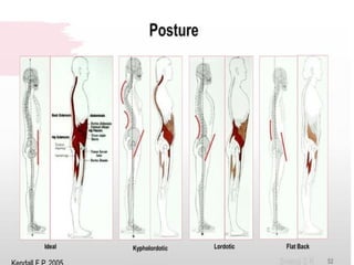Principles and Concepts of Musculoskeletal Evaluation and Assessment by ...
