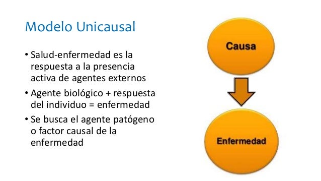 Modelo Unicausal Del Proceso Salud Enfermedad www.slideshare.net