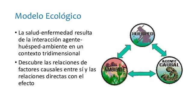 2 proceso salud y enfermedad