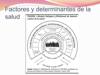 Factores y determinantes de la
salud
 