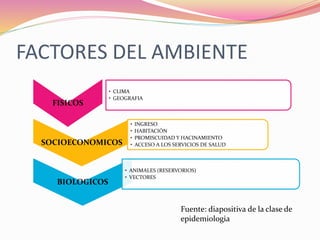 FACTORES DEL AMBIENTE
FISICOS
• CLIMA
• GEOGRAFIA
SOCIOECONOMICOS
• INGRESO
• HABITACIÓN
• PROMISCUIDAD Y HACINAMIENTO
• ACCESO A LOS SERVICIOS DE SALUD
BIOLOGICOS
• ANIMALES (RESERVORIOS)
• VECTORES
Fuente: diapositiva de la clase de
epidemiologia
 