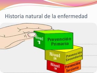 Historia natural de la enfermedad
 