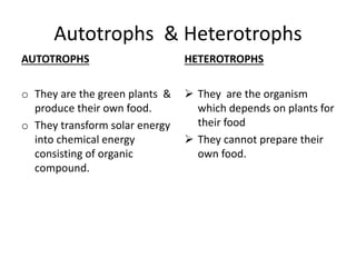 Autotrophs & Heterotrophs
AUTOTROPHS
o They are the green plants &
produce their own food.
o They transform solar energy
into chemical energy
consisting of organic
compound.
HETEROTROPHS
 They are the organism
which depends on plants for
their food
 They cannot prepare their
own food.
 