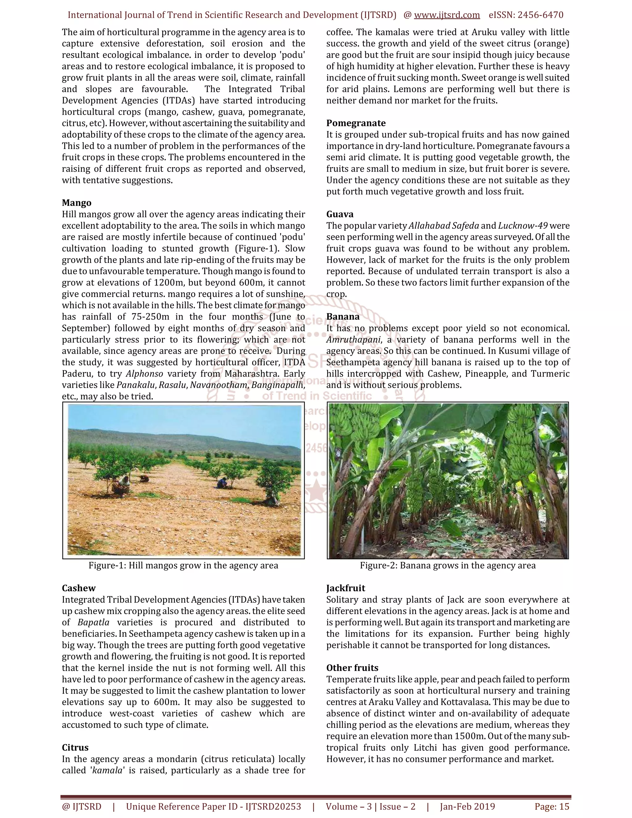 Productivity of Horticulture in Remote Tribal Areas of Andhra Pradesh | PDF