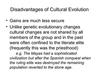 Disadvantages of Cultural Evolution
• Gains are much less secure
• Unlike genetic evolutionary changes
cultural changes are not shared by all
members of the group and in the past
were often confined to the literate elite
(frequently this was the priesthood)
e.g. The Mayas had a sophisticated
civilization but after the Spanish conquest when
the ruling elite was destroyed the remaining
population reverted to the stone age.
 