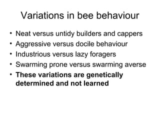 Variations in bee behaviour
• Neat versus untidy builders and cappers
• Aggressive versus docile behaviour
• Industrious versus lazy foragers
• Swarming prone versus swarming averse
• These variations are genetically
determined and not learned
 
