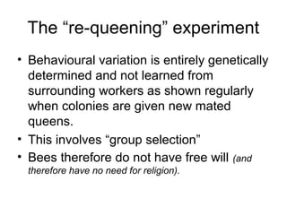 The “re-queening” experiment
• Behavioural variation is entirely genetically
determined and not learned from
surrounding workers as shown regularly
when colonies are given new mated
queens.
• This involves “group selection”
• Bees therefore do not have free will (and
therefore have no need for religion).
 