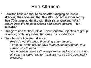 Bee Altruism
• Hamilton believed that bees die after stinging an insect
attacking their hive and that this altruistic act is explained by
their 75% genetic identity with their sister workers (which
results from the haploid drones and diploid queen) – “kin
selection”
• This gave rise to the “Selfish Gene”; and the rejection of group
selection; both very influential ideas in socio-biology
• Their basis is however all wrong.
Bees do not die when they sting other insects.
Termites (which do not have haploid males) behave in a
similar way to bees.
Virgin queens mate with many drones and workers are not
all from the same “father” (and are not all 75% genetically
identical).
 