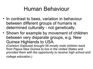 Human Behaviour
• In contrast to bees, variation in behaviour
between different groups of humans is
determined culturally - not genetically.
• Shown for example by movement of children
between very disparate groups, e.g. New
Guinea Highlands to USA.
(Carleton Gajdusek brought 56 mostly male children back
from Papua New Guinea to live in the United States and
provided them with the opportunity to receive high school and
college education.)
 