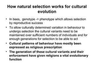 How natural selection works for cultural
evolution
• In bees, genotype -> phenotype which allows selection
by reproductive success
• To allow culturally determined variation in behaviour to
undergo selection the cultural variants need to be
maintained over sufficient numbers of individuals and for
enough generations for selection to be able to act
• Cultural patterns of behaviour have mostly been
expressed as religious prescription
• The generation of these cultural variants and their
enforcement have given religions a vital evolutionary
function
 