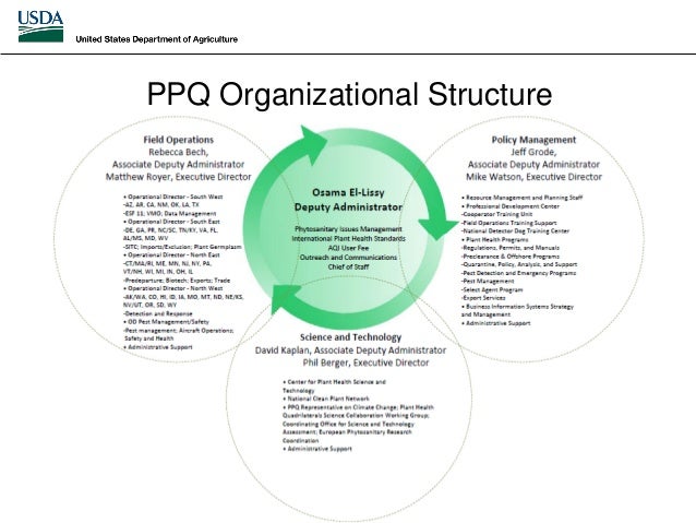 programa de irradiaci 243 n fitosanitaria de los estados unidos aphis ppq organizational chart