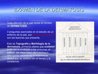 EXAMEN DE LA DERMATOSIS Toda afección de la piel recibe el nombre de  DERMATOSIS. 3 preguntas esenciales en el estudio de un enfermo de la piel, son : donde, qué y como  son las lesiones que presenta. Esto es  Topografía y Morfología de la dermatosis,  primeros pilares que sostienen junto con la evolución y los síntomas, el edificio  del diagnóstico dermatológico. Una quinta columna es la experiencia clínica que se obtiene con el tiempo y la constancia. 