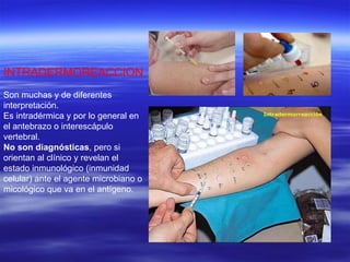 INTRADERMOREACCION Son muchas y de diferentes interpretación.  Es intradérmica y por lo general en el antebrazo o interescápulo vertebral. No son diagnósticas , pero si orientan al clínico y revelan el estado inmunológico (inmunidad celular) ante el agente microbiano o micológico que va en el antígeno. 