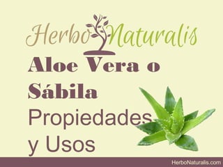Aloe Vera o
Sábila
Propiedades
y Usos
HerboNaturalis.com
 
