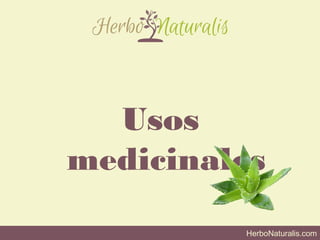 HerboNaturalis.com
Usos
medicinales
 