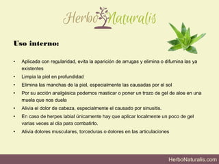 HerboNaturalis.com
Uso interno:
• Aplicada con regularidad, evita la aparición de arrugas y elimina o difumina las ya
existentes
• Limpia la piel en profundidad
• Elimina las manchas de la piel, especialmente las causadas por el sol
• Por su acción analgésica podemos masticar o poner un trozo de gel de aloe en una
muela que nos duela
• Alivia el dolor de cabeza, especialmente el causado por sinusitis.
• En caso de herpes labial únicamente hay que aplicar localmente un poco de gel
varias veces al día para combatirlo.
• Alivia dolores musculares, torceduras o dolores en las articulaciones
 
