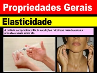 A matéria comprimida volta às condições primitivas quando cessa a
pressão atuante sobre ela.
 