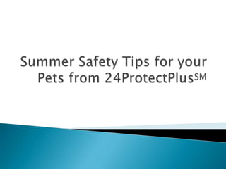 Summer Safety Tips for Your Pets from 24Protect PlusSM © 2009 24Protect Plus℠ 